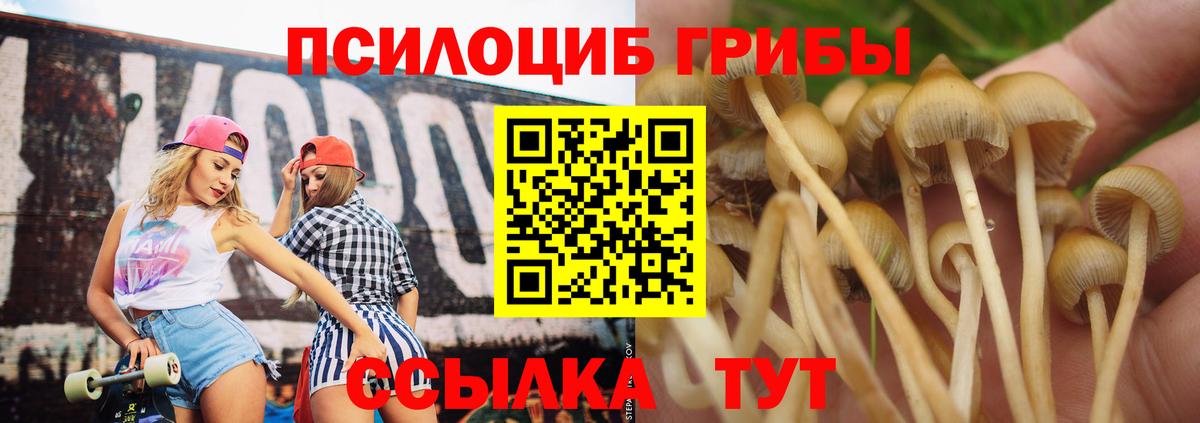 Галлюциногенные грибы мицелий Биробиджан