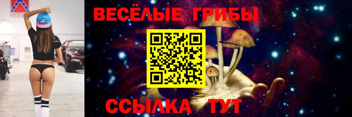 Галлюциногенные грибы мицелий  Вход с VPN  Псилоцибиновые грибы ЛСД  магазин  наркотиков  Биробиджан 
